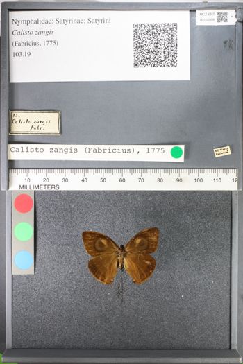 Media type: image;   Entomology 102808